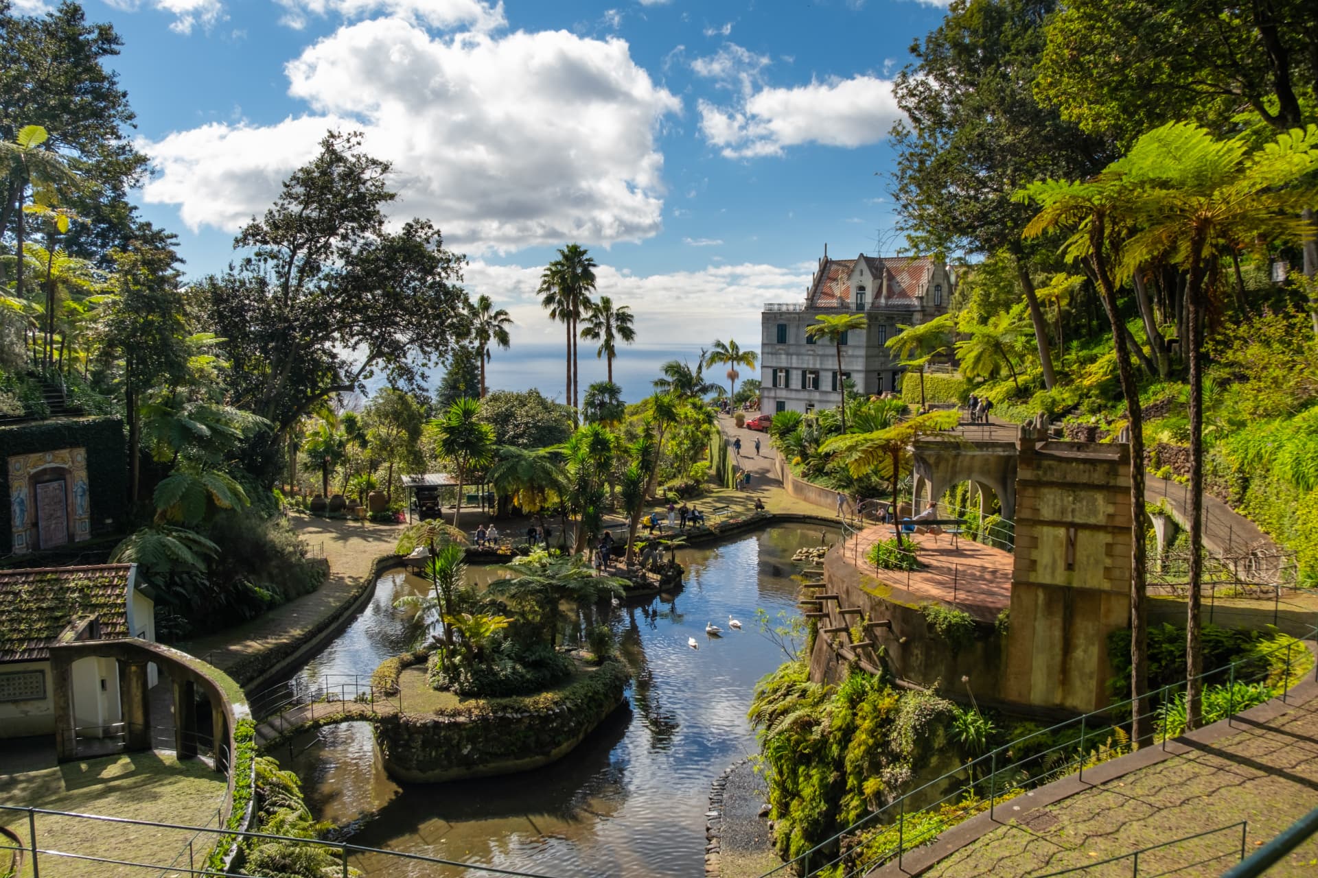 A terraced subtropical garden of tree ferns and palms around ornamental lakes above the sea