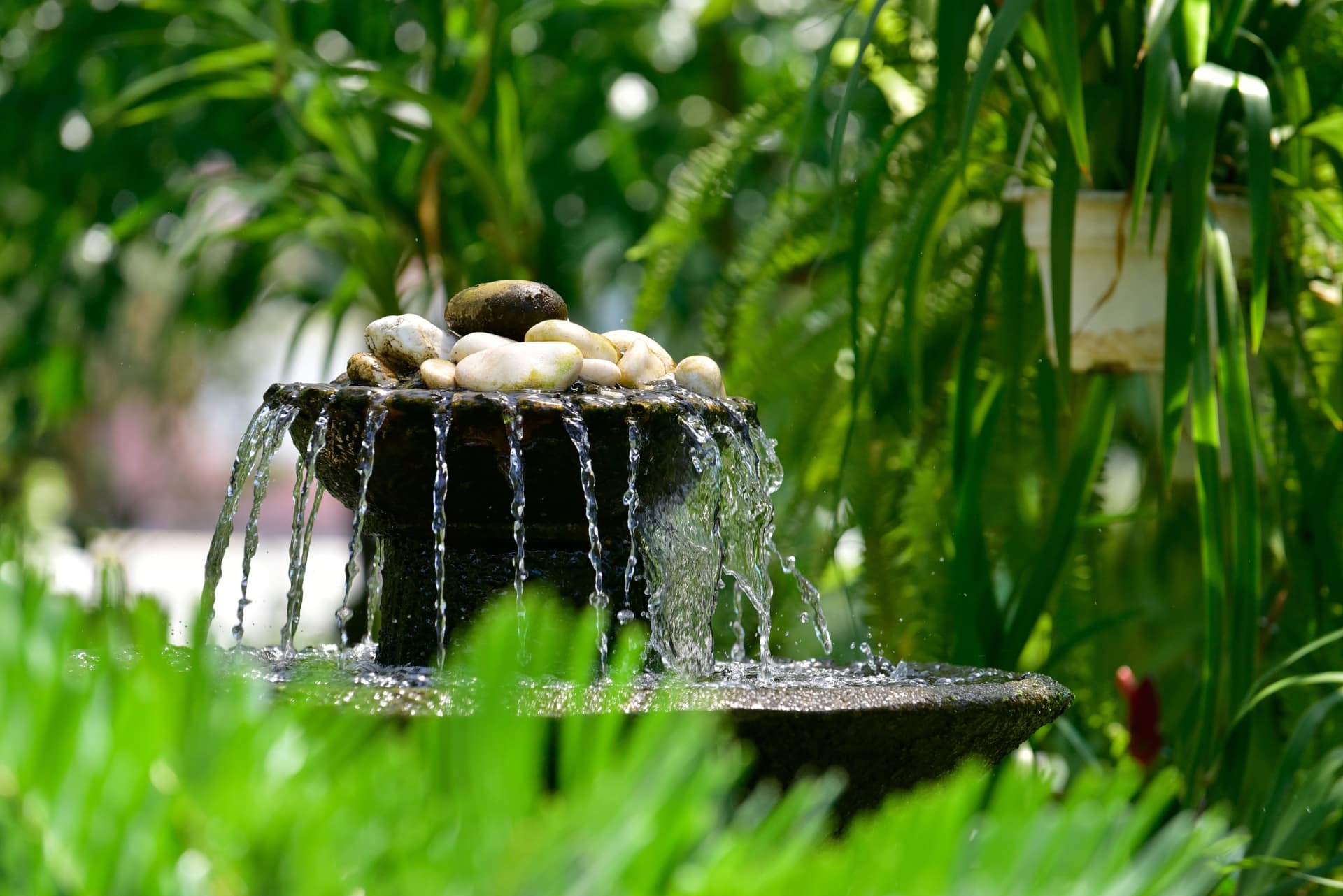 A small stone fountain topped with pebbles spilling water among lush green grasses and ferns